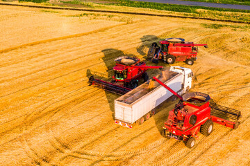 harvesting wheat. harvester pours grain into the truck. Aerial drone photo