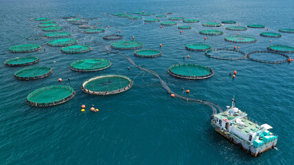 Aerial drone photo of large fish farming - breeding unit of sea bass and sea bream in huge round cages with latest technology automatic feeding system, calm deep sea of Anemokambi, Galaxidi, Greece