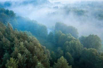 Naklejka na ściany i meble Aerial view of a misty woodland. Landscape of nature. Early cloudy morning in the woodland. Narrow river among forest.
