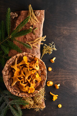 Forest Mushrooms chanterelles and forest moss on a wooden old background.  Raw uncooked in rattan...