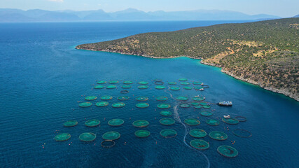 Aerial drone photo of large fish farming - breeding unit of sea bass and sea bream in huge round...