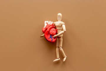 Anatomical heart model with human figurine - cardioigy disease and heart health concept