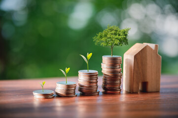 Piles of coins are placed on the wooden floor. The tree is growing on the coin. Financial growth...