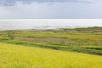 Fototapeta na wymiar Wide view of the sea with salt marshes on the North Sea 