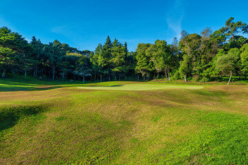 Campo Golf