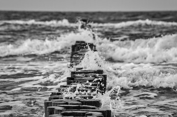 groynes on the beach of the Baltic Sea in Zingst. Waves break on the wood