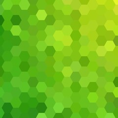 Fototapeta na wymiar green hexagon background. geometric design. polygonal style. presentation template. eps 10