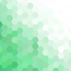 green and white geometric hexagon background. layout for advertising. template for presentation. eps 10