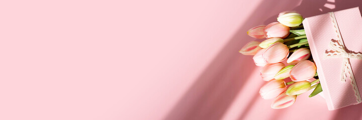 Fototapeta premium Bouquet of tender tulips and gift box isolated on pink background with shadow. Spring flowers. Greeting card for Birthday, Woman, Mother's Day, Wedding, Valentine's day. Copy space. Banner