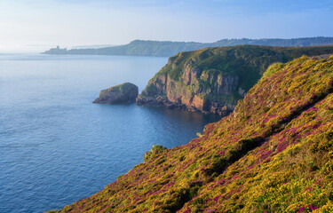Fototapeta premium Fort La Latte and Cap Frehel, Brittany, France