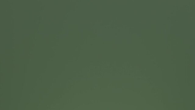 brush on green screen, v-log, 8 bit, 4:2:0, 4k, 3840x2160, 25 fps, h.264, panasonic lumix v log, 4k 100 mbps, without correction, chromakey 