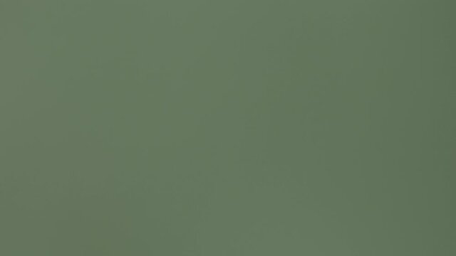 hand green screen, v-log, 8 bit, 4:2:0, 4k, 3840x2160, 25 fps, h.264, panasonic lumix v log, 4k 100 mbps, without correction, chromakey 
