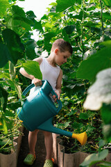 A young boy helps to water the plants in the greenhouse. Nice and charismatic child.