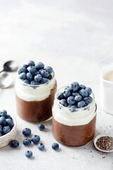 Fototapeta na wymiar Vegetarian chocolate yogurt mousse or pudding in jar topped with fresh blueberries on grey concrete table background. Copy space
