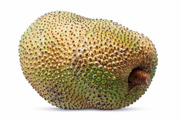 Jackfruit isolated on white background