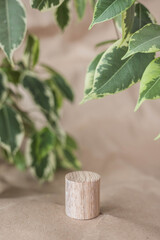 Natural round wooden stand for presentation and exhibitions on pastel beige background with green leaves. Mock up 3d empty podium for organic cosmetic product. Copy space.