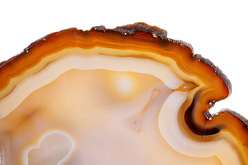 Macro mineral stone Yellow, brown Agate breed a white background close up