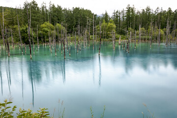 Blue pond reflecting in Hokkaido Japan 