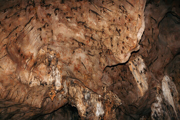 Brown cave full of bats