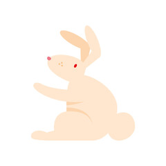 cute rabbit animal