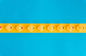 Cute duck toys in blue studio