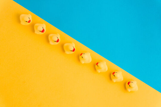 Cute duck toys in blue studio