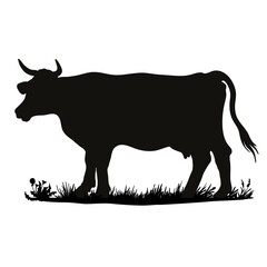 Vector silhouette of a cow. Farm animal on the grass of the pasture.