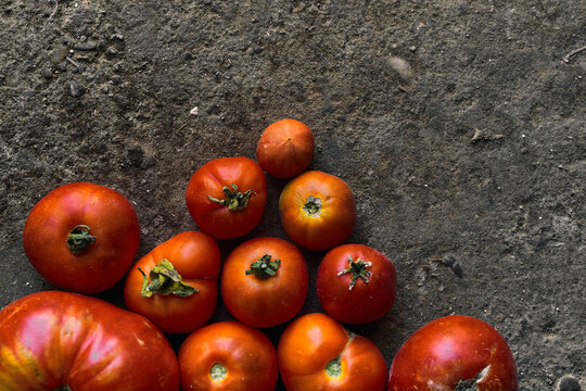 Closeup of a pile of red tomatoes on the ground