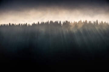 Sunset over forest in Carpathians