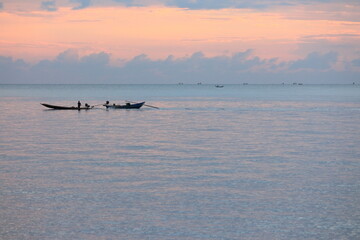 beautiful nature in the morning