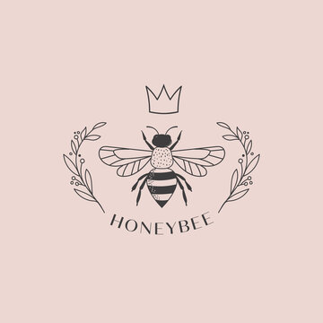 Collection of hand drawn bee, organic honey, logo, emblem, label and packaging design