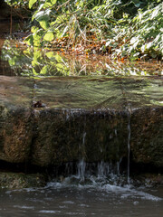 waterfall in the woods