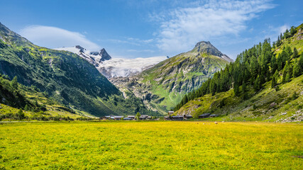 Fototapeta na wymiar Green meadow in alpine valley, Gschlosstal Valley, Hohe Tauern National Park, East Tyrol, Austrian Alps