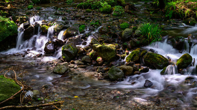 標高820mにある水源(山吹水源)風景
Water source (Yamabuki springhead) scenery at an altitude of 820m
日本2021年秋撮影
Photographed in autumn 2021 in Japan
(九州・熊本県阿蘇郡産山村)山吹水源
Yamabuki Springhead