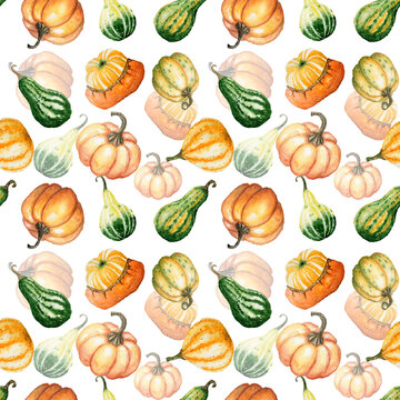 Pumpkin pattern. Watercolor seamless autumn background. Fall pumpkins on white background. Hand painted texture. Thanksgiving. Perfect for wallpapers, textile, postcards, greetings, invitations