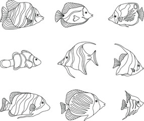 Tropical fish collection. Set of different tropical fishes. Vector illustration for background