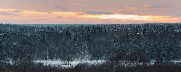 View of the winter forest with a red sky in sunset. Winter landscape.