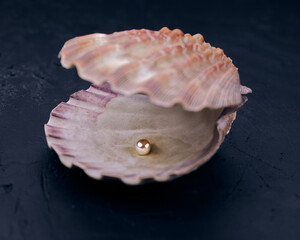 Oyster and a pearl