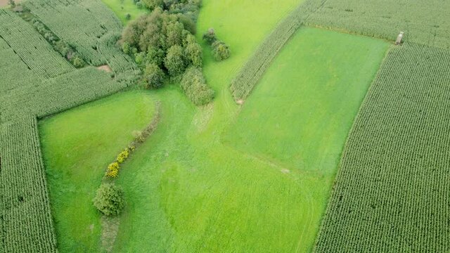 Drohnenvideo, Grüne Agrarlandschaft