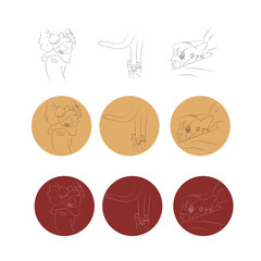 Set of linear icons with a cat