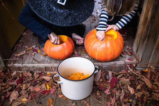 Little girls make jack-o-lantern from big pumpkins for celebratiion of halloween holiday.Witch costume, hat, coat. Cut with knife,take out pulp with seeds.Outdoors activity, backyard.Children's party