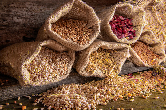 Various types of cereals with cobs. Cereals in bags close-up. Wheat. Oats. Buckwheat. Beans. Pearl barley. © Andrey