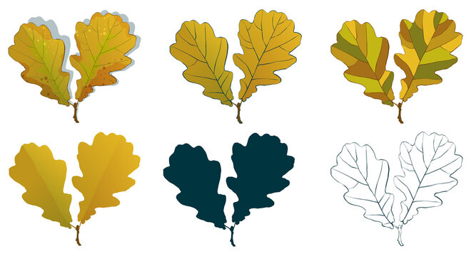 Big set of vector fall tree leaf shapes drawing in different styles: hand-drawn sketch, silhouette, flat, cartoon are isolated on white background. Autumn oak leaves coloring sheet.