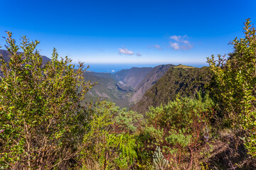 Fototapeta na wymiar Rivière des Remparts, route du volcan, île de la Réunion 