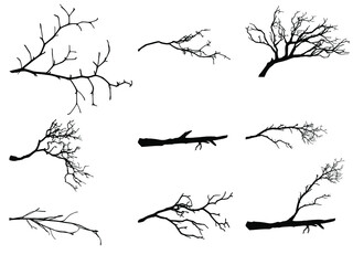 Set of dry tree branches, silhouette, vector