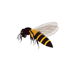 Worker bee graphic vector design