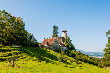 Arlesheim, Schloss Birseck, Ermitage, Dornach, Birseck, Landwirtschaft, Wald, Spazierweg,...
