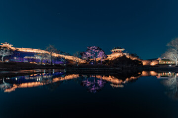 night view of the city