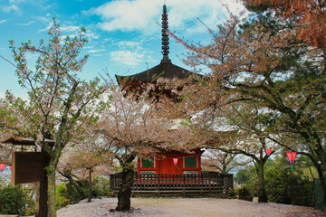 old house in the forest