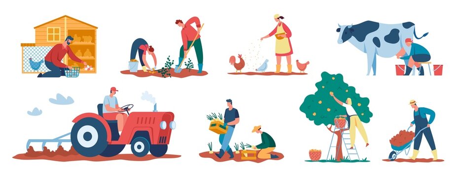 Farmers at work, agricultural workers harvesting crops, caring for animals. Farmer picking apples, collecting eggs, milking cow vector set. Characters gathering harvest and working on tractor